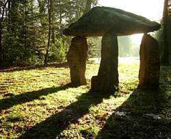 The Cromlech at Delamore Estate